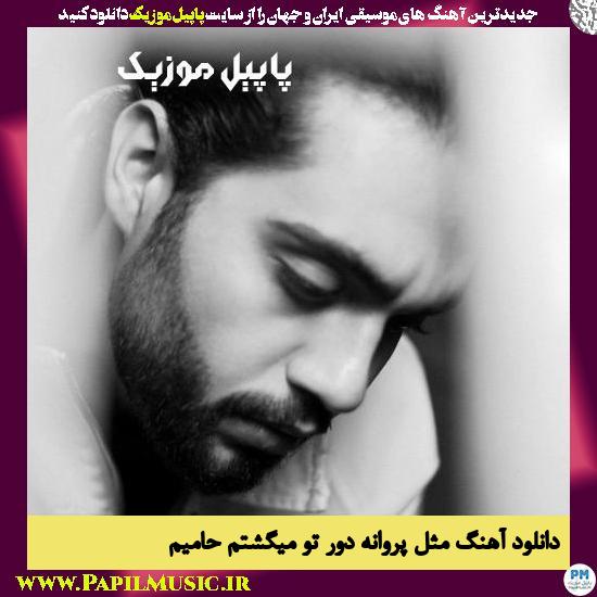Hamim Mesle Parvane Dore To Migashtam دانلود آهنگ مثل پروانه دور تو میگشتم از حامیم
